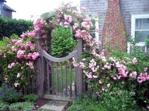 5 landscaping ideas for your garden and backyard