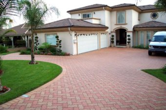 4 Questions to ask yourself when planting near Driveways, Patios and Walks