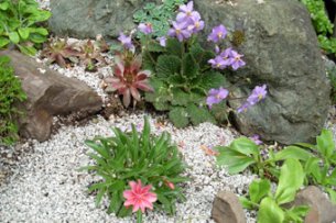 Add texture with garden aggregates