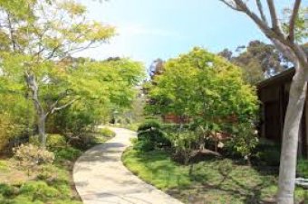 Adding a garden path to your garden - things to consider
