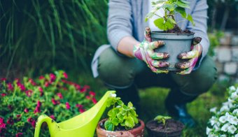 How to spruce up your garden during lockdown