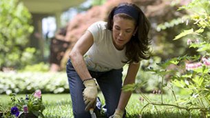 Gardening tips and tricks: August