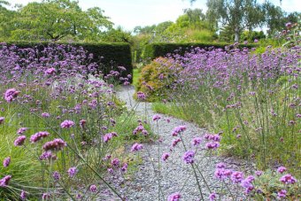 Four ways that adding gravel to your garden will improve it