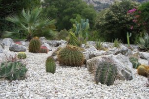 Create your own gravel garden