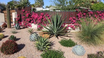 How to build the perfect gravel garden