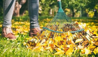 The complete guide to getting your garden ready for autumn