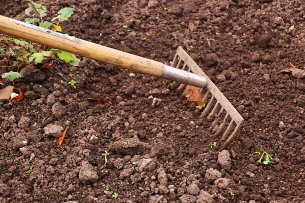 Beautiful gardens start with good soil 
